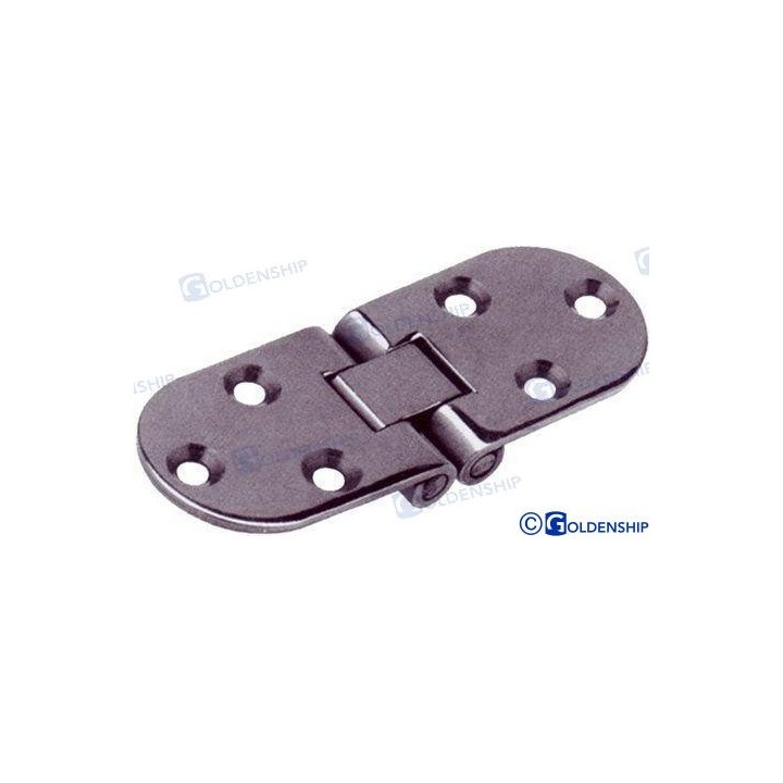 CHARNIERES INOX ENCASTREE 80*30*2 MM (x2)